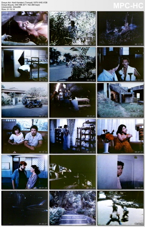 Kedi Karateci (Tomcat) 1979 VHS (2).jpg