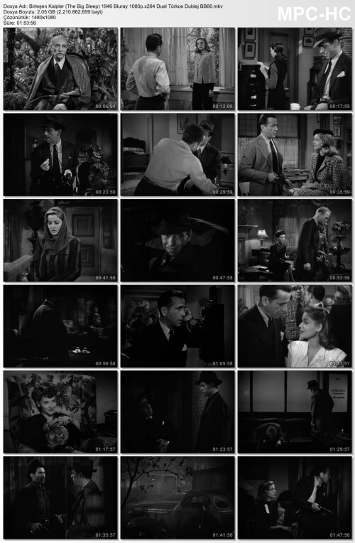 Derin Uyku - Birleşen Kalpler (The Big Sleep) 1946 Bluray 1080p.x264 Dual Türkce Dublaj BB66 (2).jpg