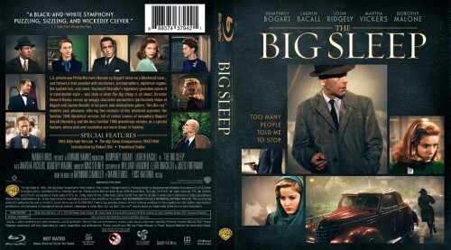 Derin Uyku - Birleşen Kalpler (The Big Sleep) 1946 Bluray 1080p.x264 Dual Türkce Dublaj BB66 (1).jpg